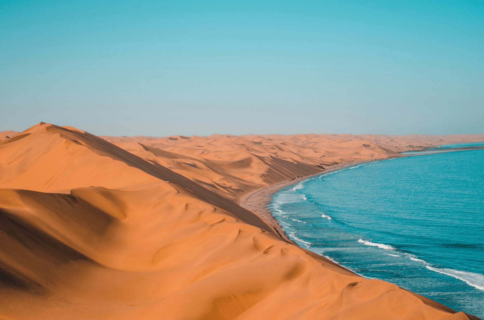 Golden sand dunes beside a blue ocean under a clear sky